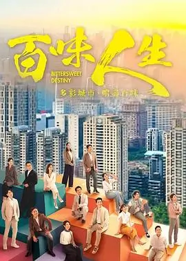 热播电视剧全集《雾港长夜》高清海报